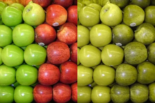 Color Blindness Example with Red and Green Apples